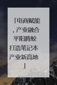 电商赋能，产业融合 平阳腾蛟打造笔记本产业新高地