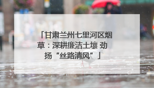 甘肃兰州七里河区烟草：深耕廉洁土壤 劲扬“丝路清风”