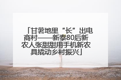 甘薯地里“长”出电商村——新泰80后新农人张甜甜用手机新农具撬动乡村振兴