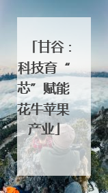 甘谷：科技育“芯”赋能花牛苹果产业