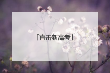直击新高考