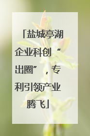盐城亭湖企业科创“出圈”，专利引领产业腾飞