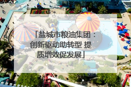 盐城市粮油集团：创新驱动助转型 提质增效促发展