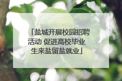 盐城开展校园招聘活动 促进高校毕业生来盐留盐就业