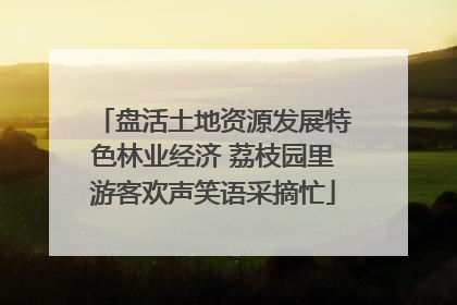 盘活土地资源发展特色林业经济 荔枝园里游客欢声笑语采摘忙