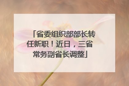 省委组织部部长转任新职！近日，三省常务副省长调整