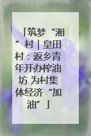 筑梦“湘”村｜皇田村：返乡青年开办榨油坊 为村集体经济“加油”