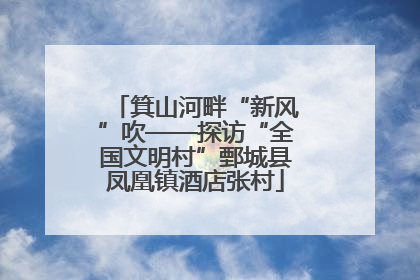 箕山河畔“新风”吹——探访“全国文明村”鄄城县凤凰镇酒店张村