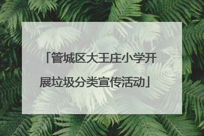 管城区大王庄小学开展垃圾分类宣传活动