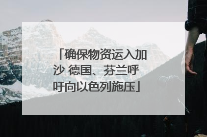 确保物资运入加沙 德国、芬兰呼吁向以色列施压