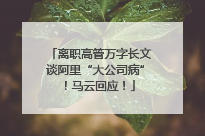 离职高管万字长文谈阿里“大公司病”！马云回应！