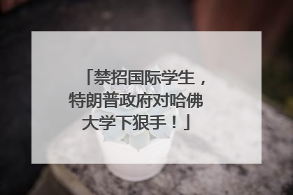 禁招国际学生，特朗普政府对哈佛大学下狠手！