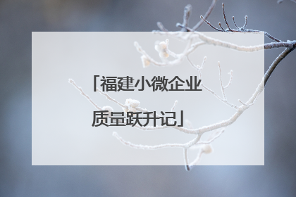 福建小微企业质量跃升记