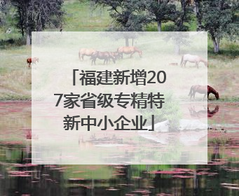 福建新增207家省级专精特新中小企业