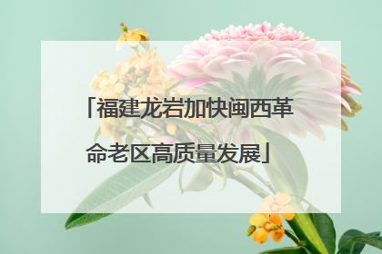 福建龙岩加快闽西革命老区高质量发展