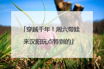 穿越千年！周六带娃来汉阳玩点特别的