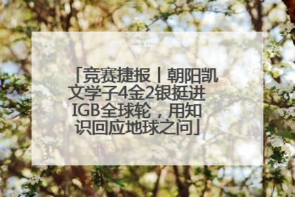 竞赛捷报丨朝阳凯文学子4金2银挺进IGB全球轮，用知识回应地球之问