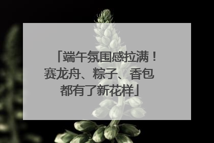 端午氛围感拉满！赛龙舟、粽子、香包都有了新花样