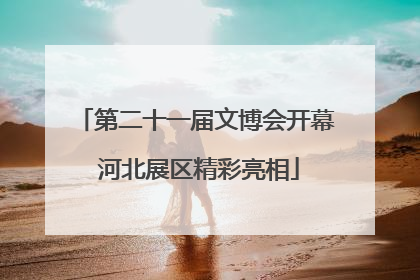第二十一届文博会开幕 河北展区精彩亮相