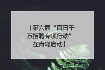 第六届“百日千万招聘专项行动”在青岛启动