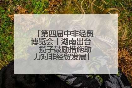 第四届中非经贸博览会丨湖南出台一揽子鼓励措施助力对非经贸发展