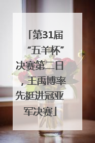 第31届“五羊杯”决赛第二日，王禹博率先挺进冠亚军决赛