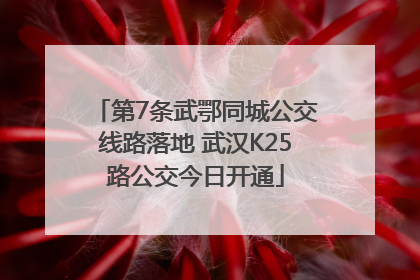第7条武鄂同城公交线路落地 武汉K25路公交今日开通