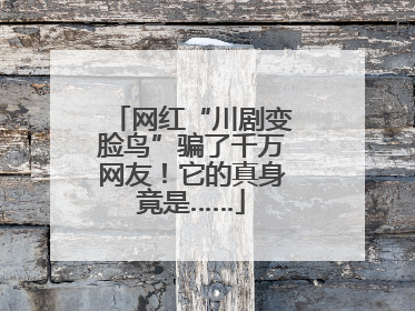 网红“川剧变脸鸟”骗了千万网友！它的真身竟是……