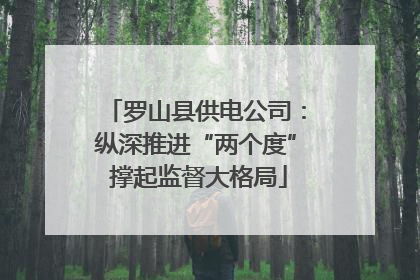 罗山县供电公司：纵深推进“两个度” 撑起监督大格局