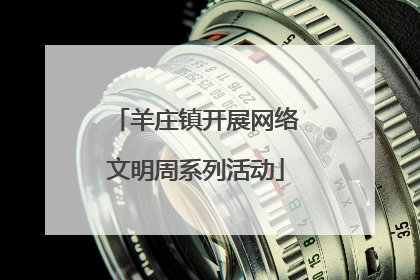 羊庄镇开展网络文明周系列活动