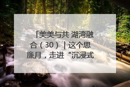 美美与共 湖湾融合（30）｜这个思廉月，走进“沉浸式”清风课堂