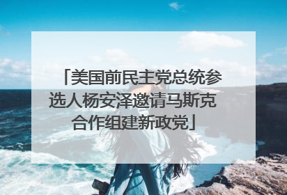 美国前民主党总统参选人杨安泽邀请马斯克合作组建新政党