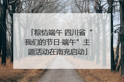 粽情端午 四川省“我们的节日·端午”主题活动在南充启动
