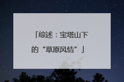 综述：宝塔山下的“草原风情”
