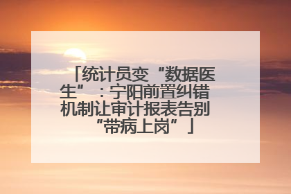 统计员变“数据医生”：宁阳前置纠错机制让审计报表告别“带病上岗”