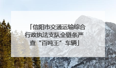 信阳市交通运输综合行政执法支队全链条严查“百吨王”车辆