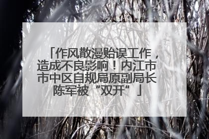 作风散漫贻误工作，造成不良影响！内江市市中区自规局原副局长陈军被“双开”