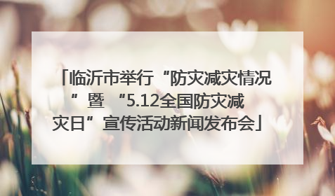 临沂市举行“防灾减灾情况”暨 “5.12全国防灾减灾日”宣传活动新闻发布会