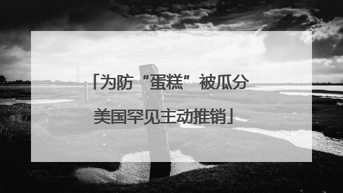 为防“蛋糕”被瓜分 美国罕见主动推销