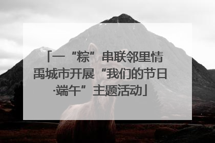 一“粽”串联邻里情 禹城市开展“我们的节日·端午”主题活动