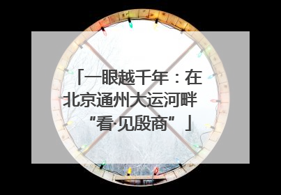 一眼越千年：在北京通州大运河畔“看·见殷商”