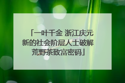 一叶千金 浙江庆元新的社会阶层人士破解荒野茶致富密码