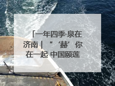 一年四季·泉在济南｜“‘赫’你在一起 中国颐莲喷雾节”：解锁济南夏日消费热潮中的国货新势力