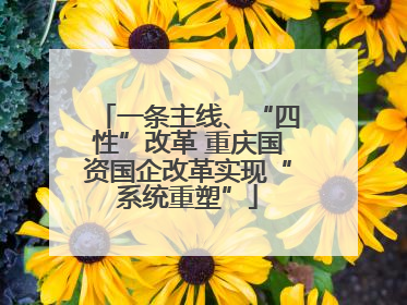 一条主线、“四性”改革 重庆国资国企改革实现“系统重塑”