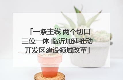 一条主线 两个切口 三位一体 临沂加速推动开发区建设领域改革