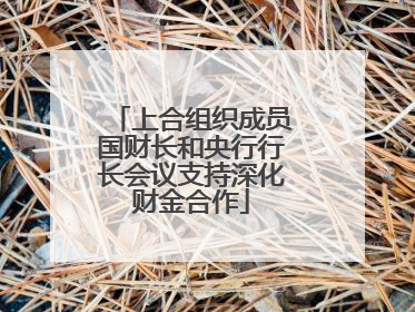 上合组织成员国财长和央行行长会议支持深化财金合作