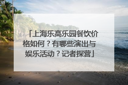 上海乐高乐园餐饮价格如何？有哪些演出与娱乐活动？记者探营