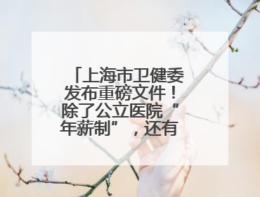 上海市卫健委发布重磅文件！除了公立医院“年薪制”，还有这些重点