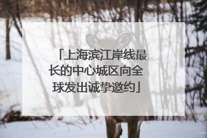 上海滨江岸线最长的中心城区向全球发出诚挚邀约