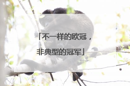 不一样的欧冠，非典型的冠军